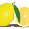 レモン1個に含まれるビタミンCの量はレモン4個分ではなくやはりレモン1個分ではないか？